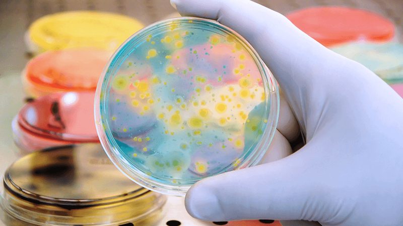 生物医药外包成本核算：如何科学评估与优化