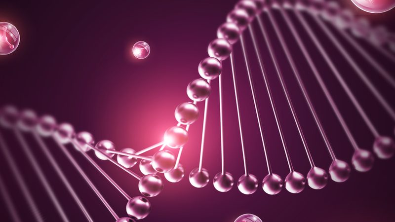 单克隆抗体生产，如何选择合适的公司？**