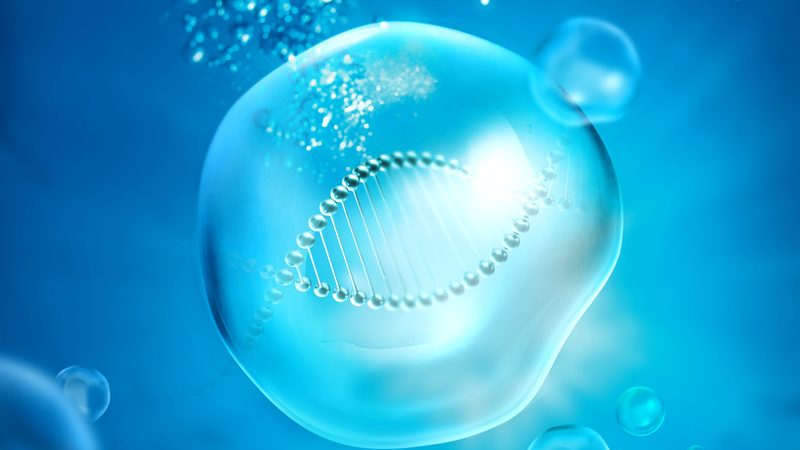 细胞工厂定制：揭秘定制化生物生产线的五大技术难点