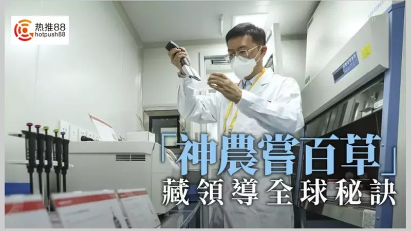 细胞工厂材质选择：揭秘影响生产效率的关键因素**