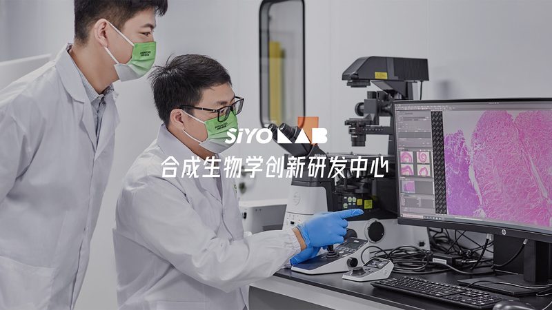 CRO优化团队外包：价格之外，还需关注这些关键点