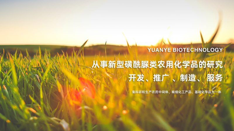 基因检测机构选哪家？关键在于技术实力与合规性**