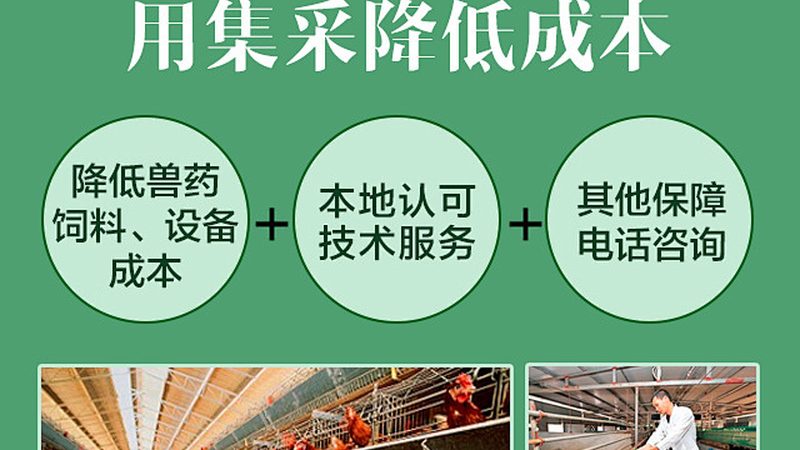全自动移液器：如何根据实验室需求精准选型**
