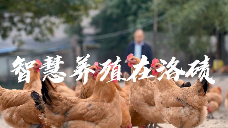 抗体产品质检报告，揭秘药物研发背后的严格把关
