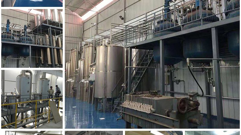 生物试剂说明书：揭秘其重要性及获取途径