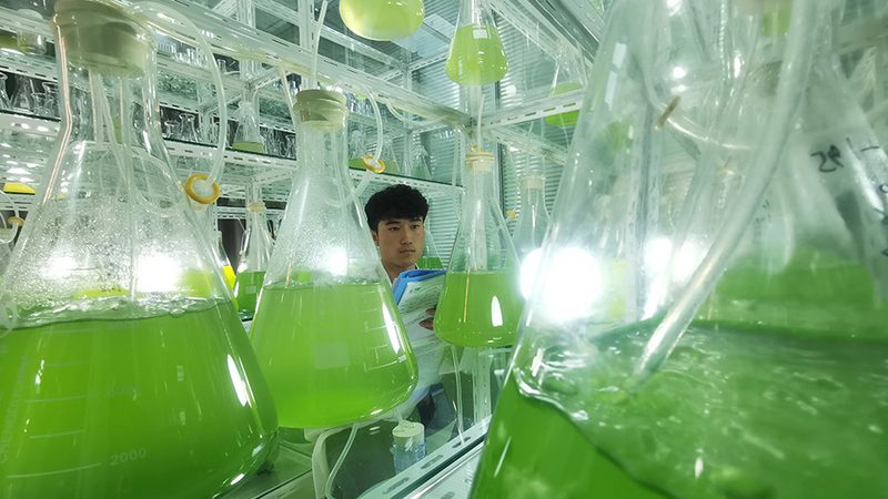 工业医药废水处理设备定制：揭秘其核心要素与选型逻辑**